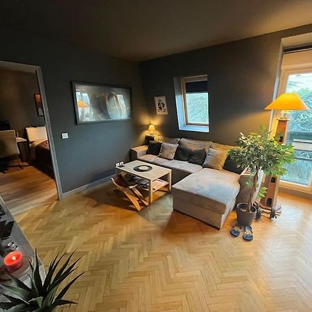 Appartement Cosy Le Chesnay Le Chesnay  Exteriér fotografie